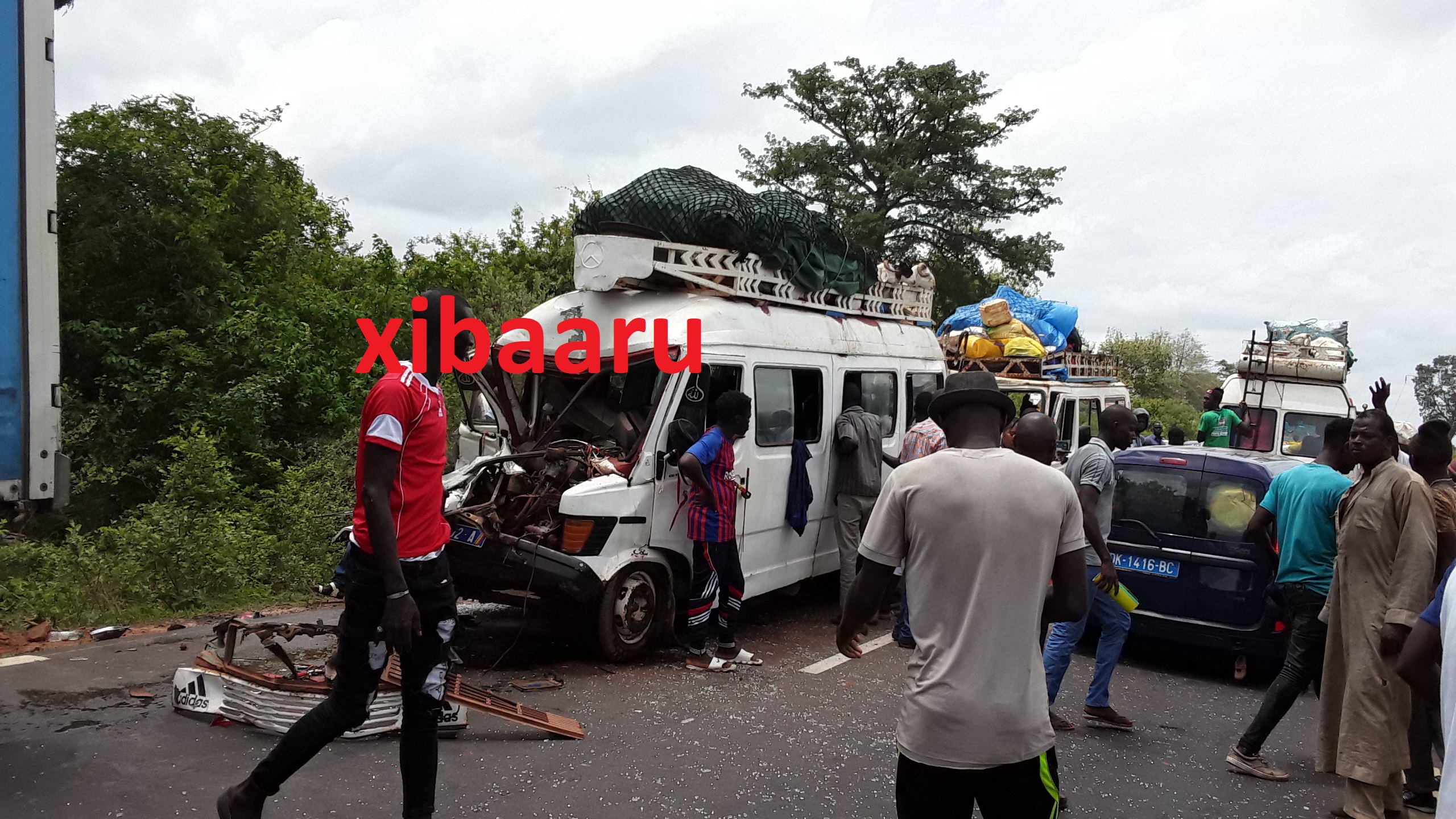 B4069804 D506 431C 8FC8 F9607164289E