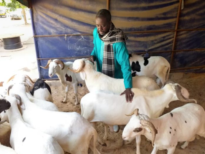 CA924AC4 AE54 407B B0DA 28878F50FBA4