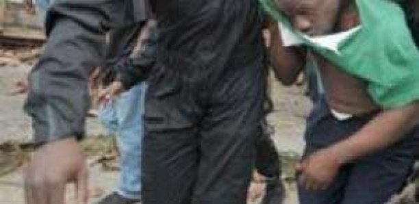 Touba : Madiyana devient le fief des agresseurs et trafiquants de chanvre indien 16 Touba : Madiyana devient le fief des agresseurs et trafiquants de chanvre indien