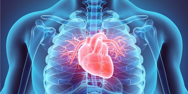 coeur homme et femme