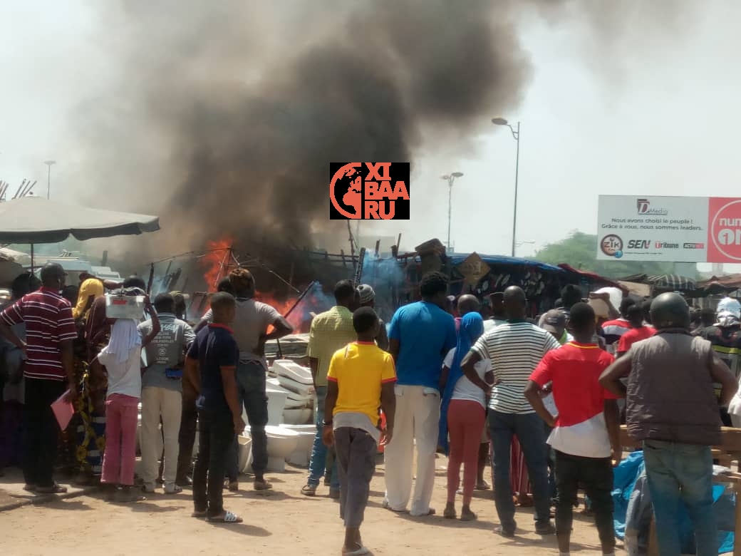 feu marche liberte 6 1