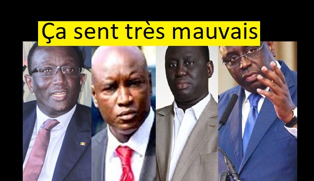 Macky, Aliou, Aly Ngouille et Amadou Ba...accusés par un juriste en France 11 Macky, Aliou, Aly Ngouille et Amadou Ba…accusés par un juriste en France