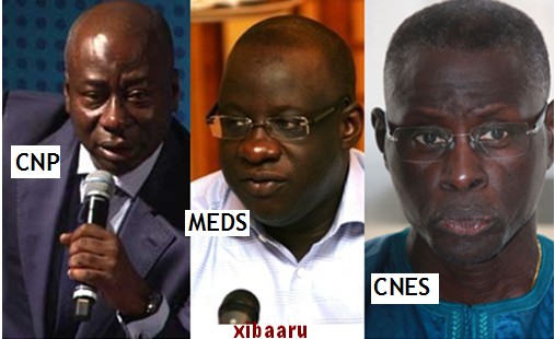 patronat sénégal cnp meds cnes
