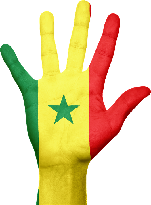 MICROSCOPIE DE LA SOCIÉTÉ SÉNÉGALAISE 7 MICROSCOPIE DE LA SOCIÉTÉ SÉNÉGALAISE