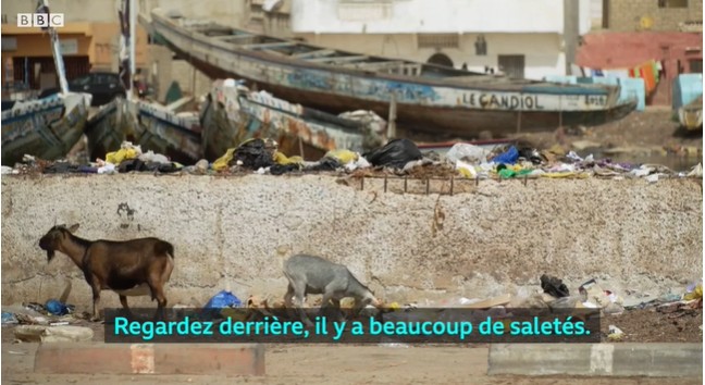 déchets saint louis