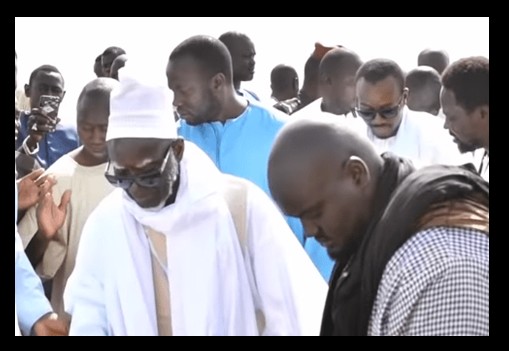 khalife des mourides plante