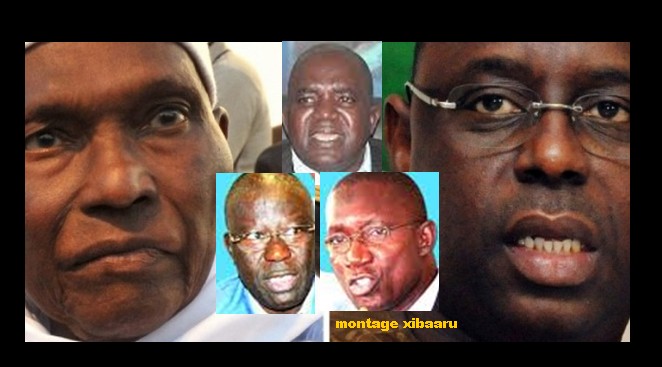 macky wade oumar sarr amadou sall