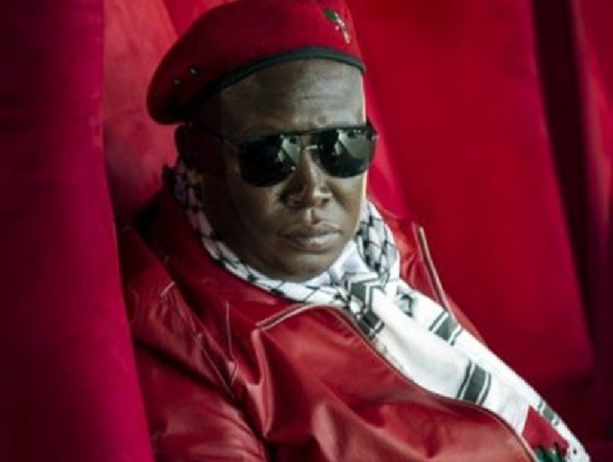 malema julius
