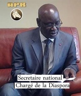 aliou ndao fall portrait