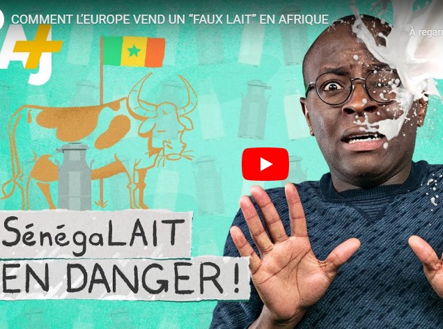 sénégal lait danger