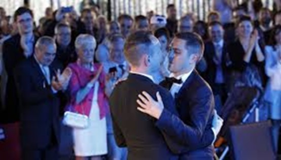 mariage homo france