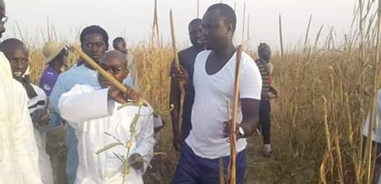 saliou thioune khelcom 1