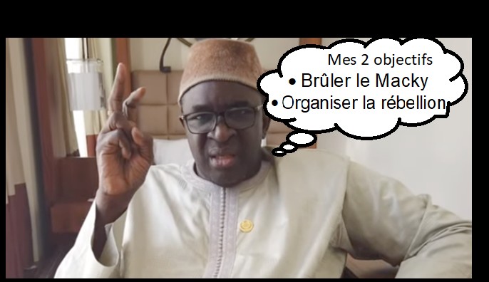 cissé lô objectifs