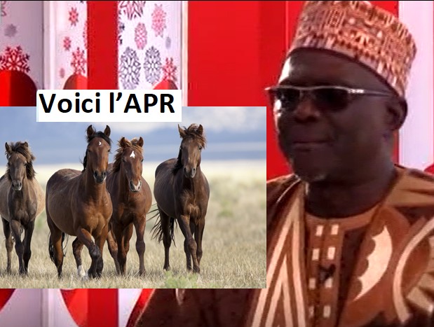 diakhaté apr troupeau