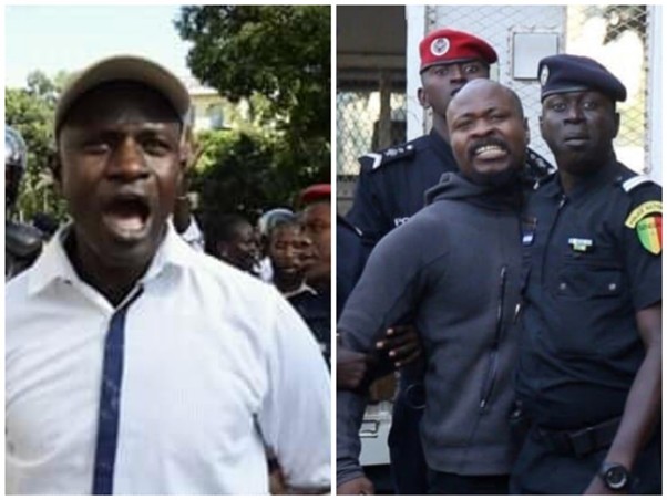 guy marius babacar diop