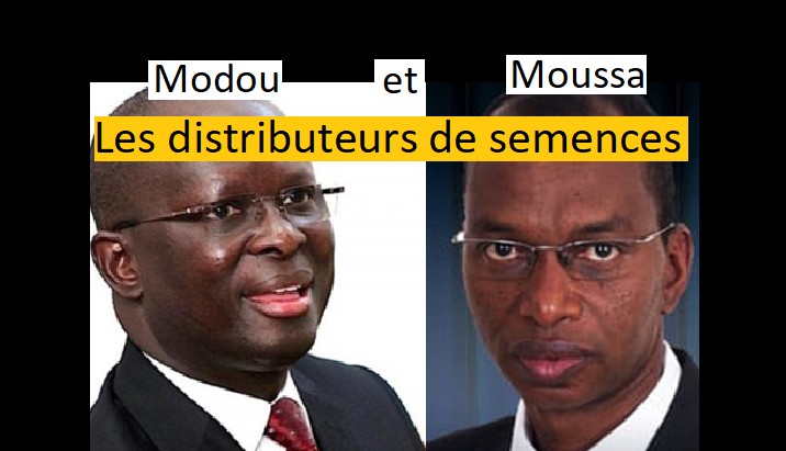 modou fada diagne moussa baldé