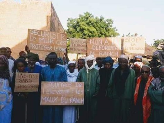 ranch doli éleveurs