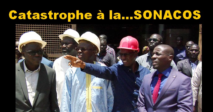 sonacos fada catastrophe