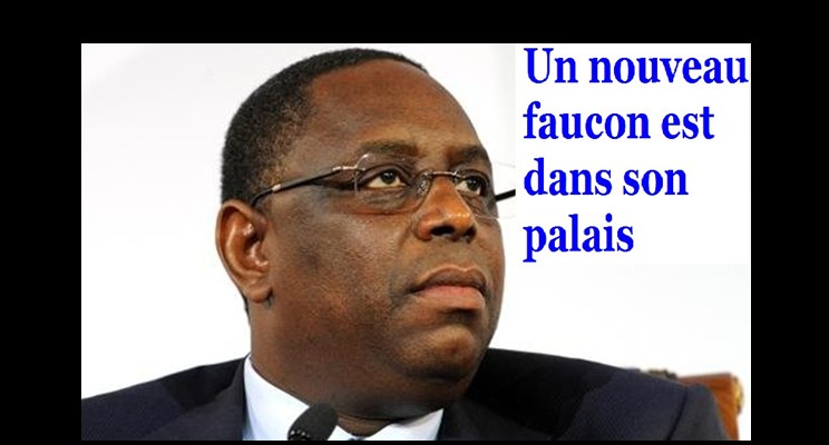 macky nouveau faucon