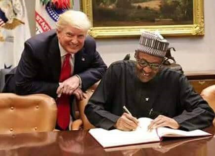 trump buhari