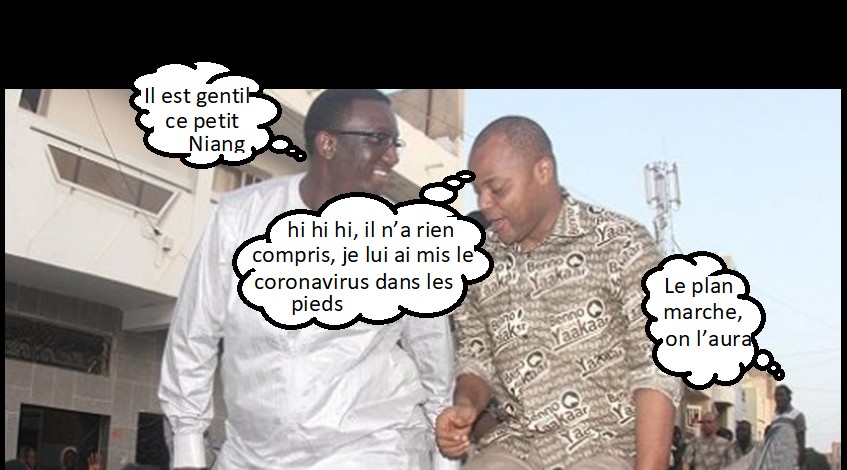 amadou ba mame mbaye coronavirus