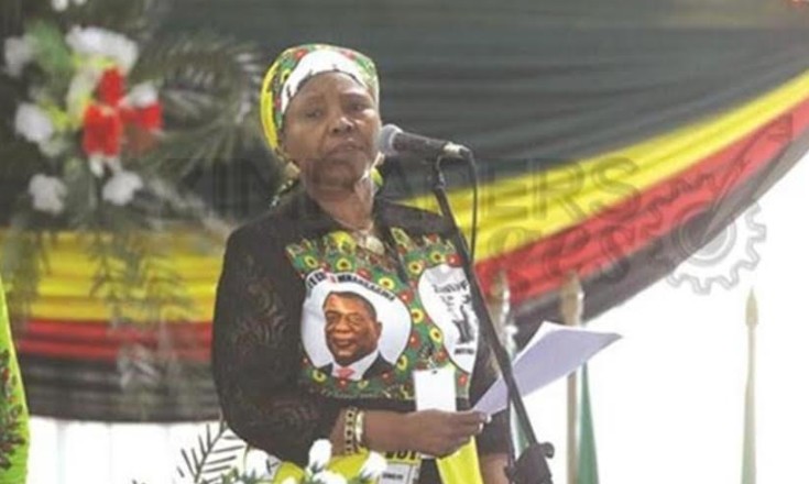 ministre zimbabwe coronavirus