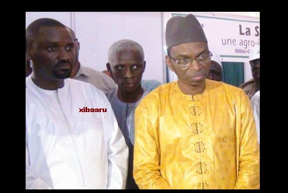 moussa baldé samba ndiobène