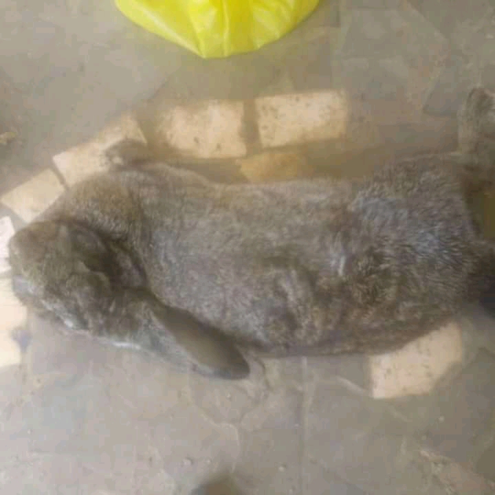 02F1F470 24F6 43A3 BA31 06DD45745CF4