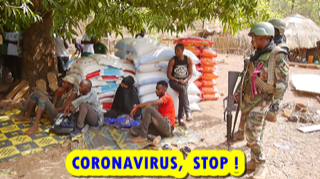 75482FE0 9980 4641 AA6D D9679F812EE5