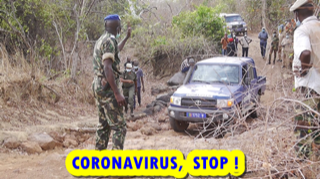 95C1F8EC 55E5 4575 91F7 64953582928F