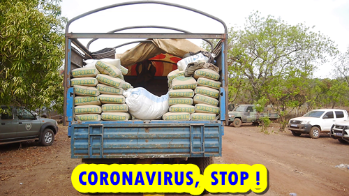 C1C71786 8399 4E9B BEAE 9C655DBA0999