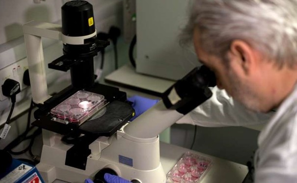 Selon l'OMS...voici ce qui peut mettre fin au Covid-19 1 vaccin labo