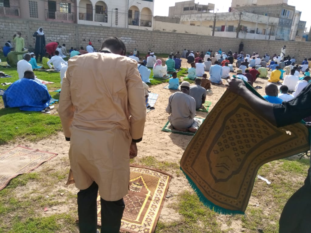 A15C3801 1279 4221 8EDE 60AAC1329F8B