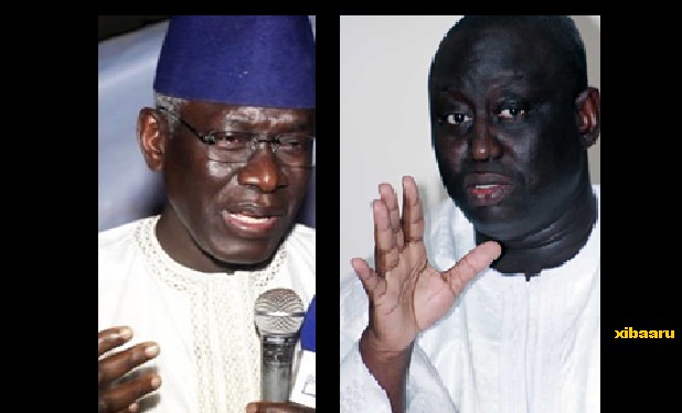 habib sy aliou sall