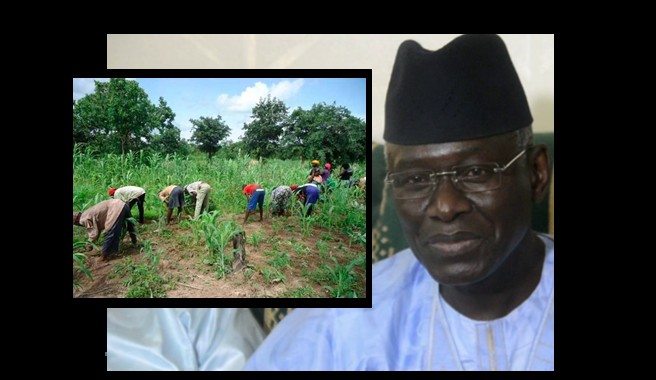 habib sy campagne agricole