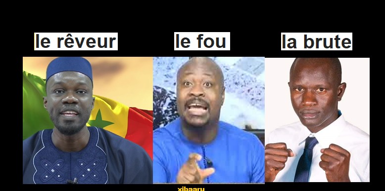 sonko guy marius babacar diop