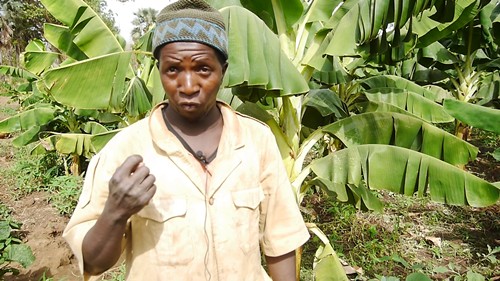 Kédougou : PMC aide Tombon Tounkara à s’engager dans la production horticole
