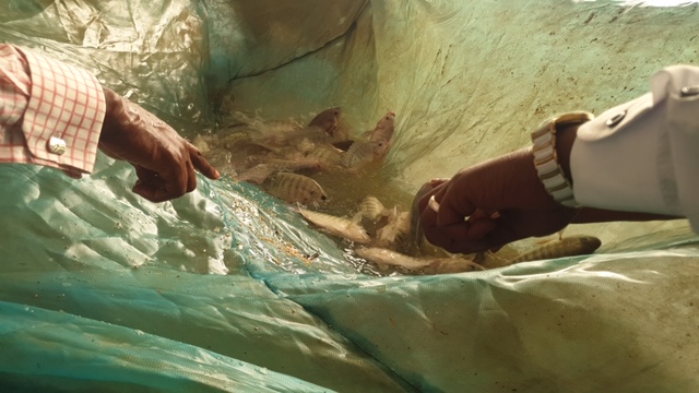 Atelier de Renforcement : La directrice de l'ANA à Richard Toll... 2 20200722 133151