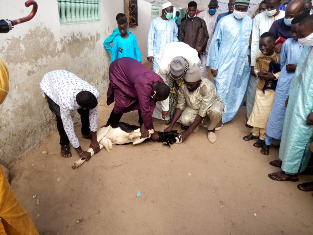 C7197646 0CCE 413F 986D 6497A3B6AEDA