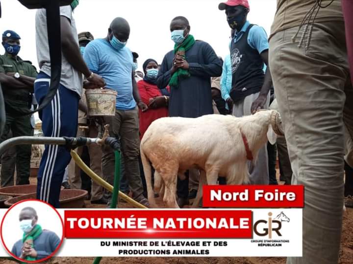 FB IMG 1595775666822