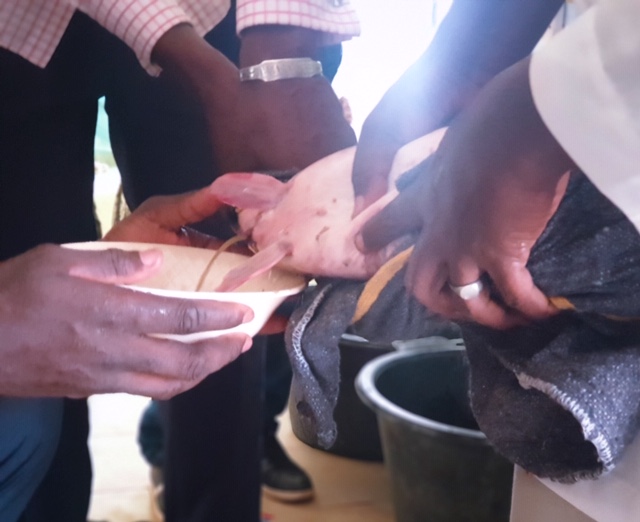 Atelier de Renforcement : La directrice de l'ANA à Richard Toll... 7 PSX 20200722 142551