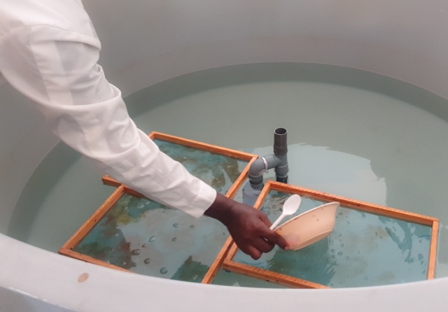 Atelier de Renforcement : La directrice de l'ANA à Richard Toll... 3 PSX 20200722 142701