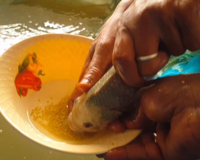 Atelier de Renforcement : La directrice de l'ANA à Richard Toll... 5 PSX 20200722 142946