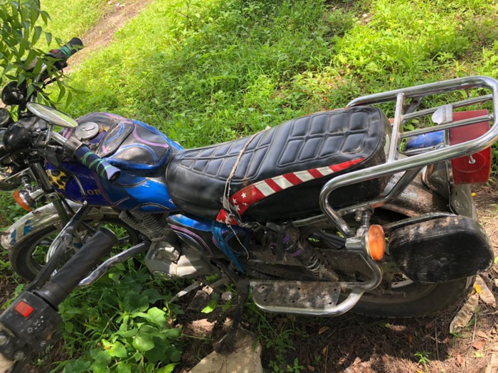 La Douane saisit 537 kg de chanvre indien en 72 heures ! 2 douane 2