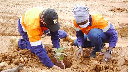 Journée de l’arbre : l’IREF de Kédougou a produit plus de 1 million de plantes en 2019 6 038FB7DE 1ECF 4D11 AEE7 4CE753D2B28A