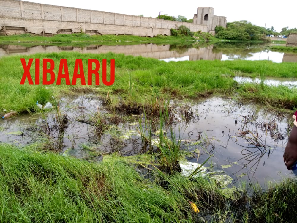 mbao