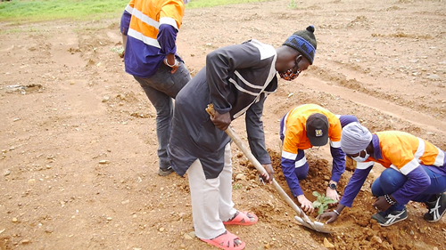 Journée de l’arbre : l’IREF de Kédougou a produit plus de 1 million de plantes en 2019 2 FAC7FCC5 81E8 4D7E 8792 CB91D0B335D0