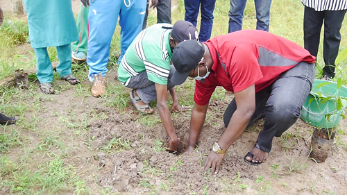 REBOISEMENT FADIGA MATERNELLE 10