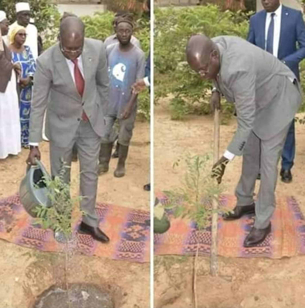 abdou karim sall natte