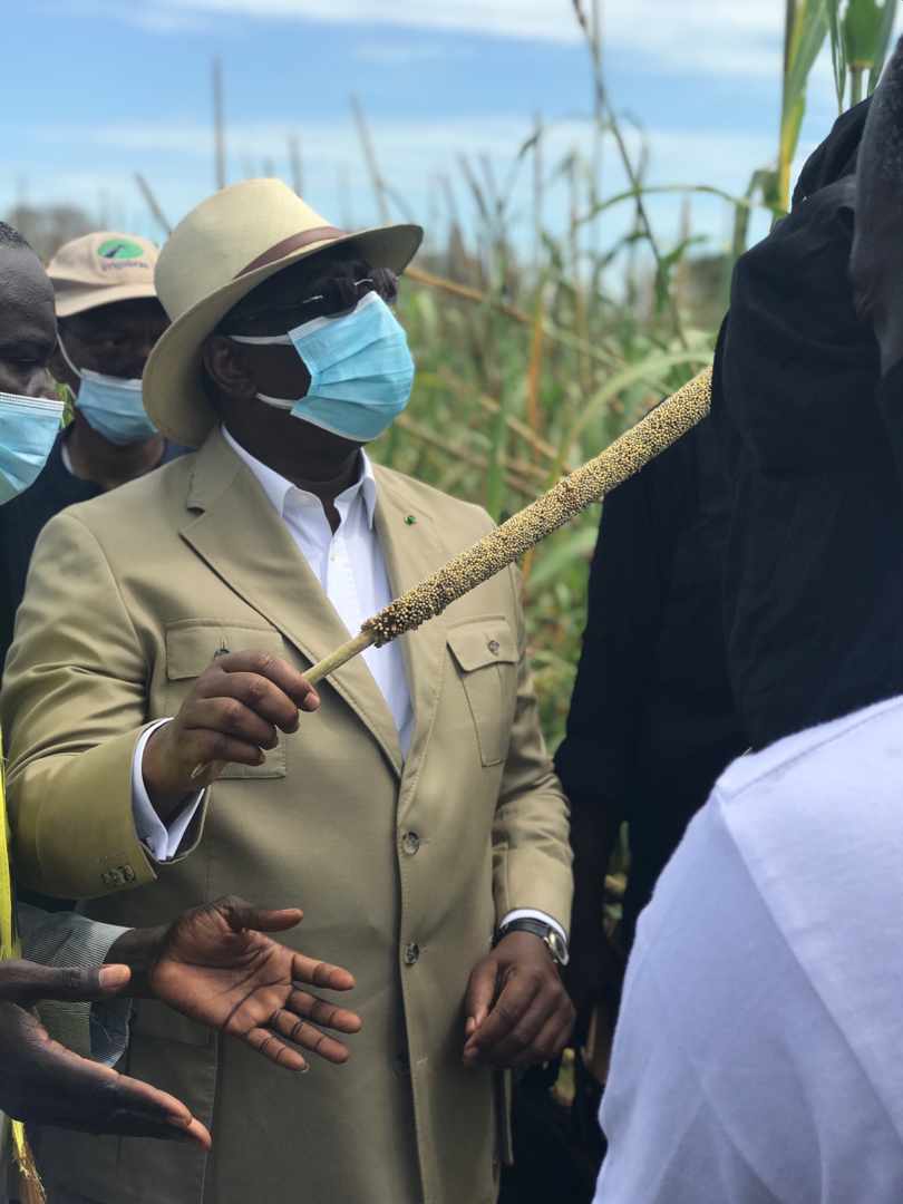 221772399587 status 0ecaee368ede4fd486663ae4156ee6fe